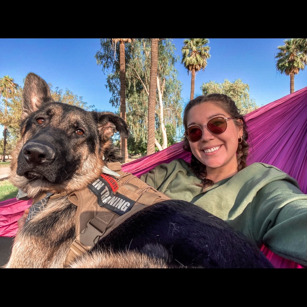 Meet your Posher, Riley - Picture 2 of 2